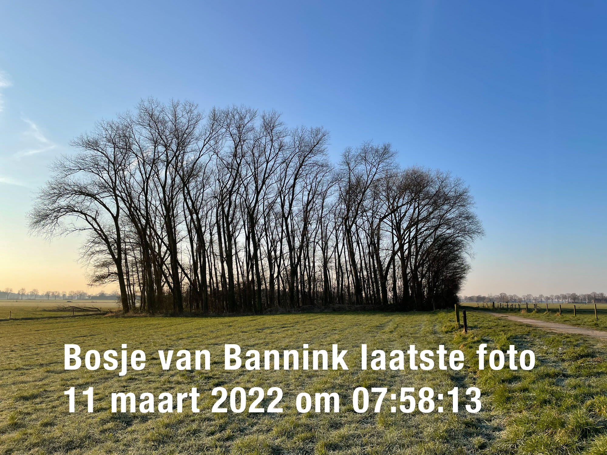 Bosje van Bannink