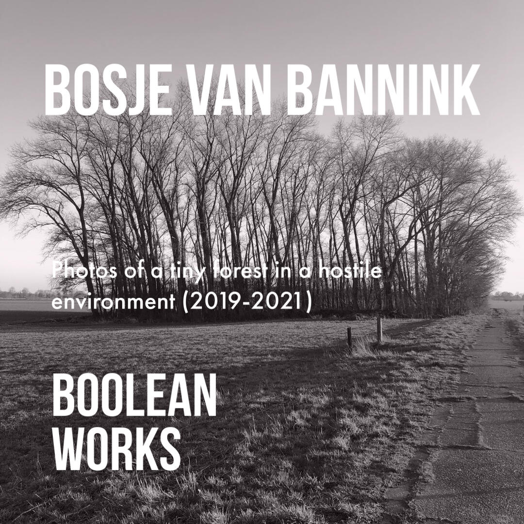 Bosje van Bannink